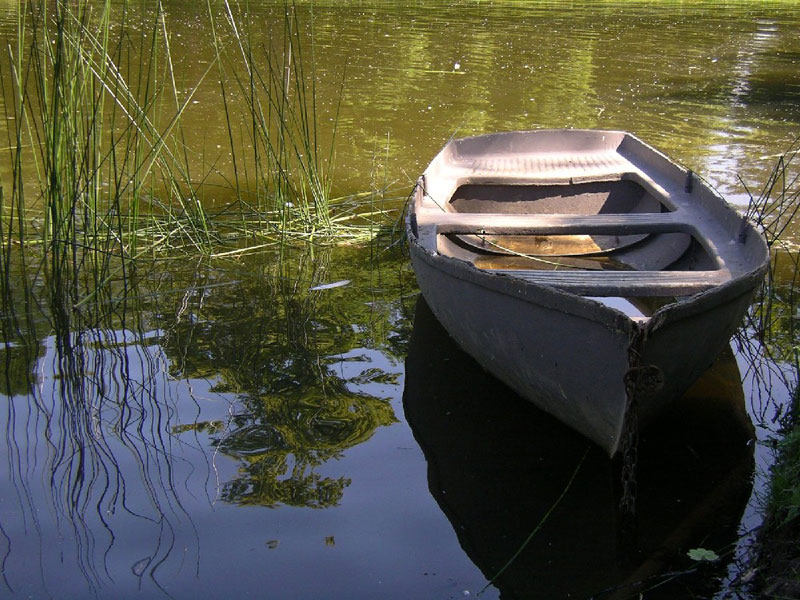 如何辨別水質的優劣？看浮標水質監控系統