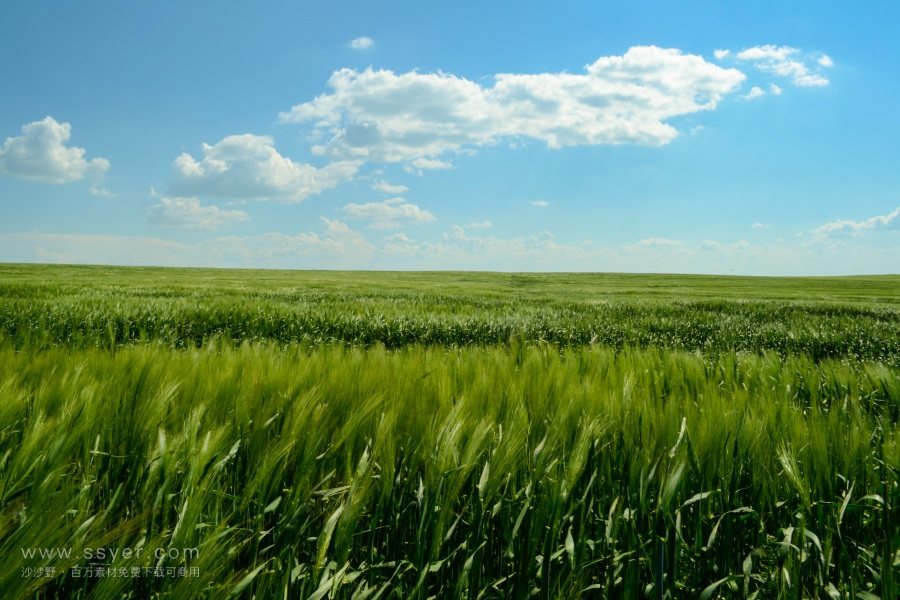 農業大數據 農業大數據